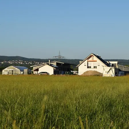 Lägenhet Einladende Ferienwohnung Auf Bauernhof In Sinzig